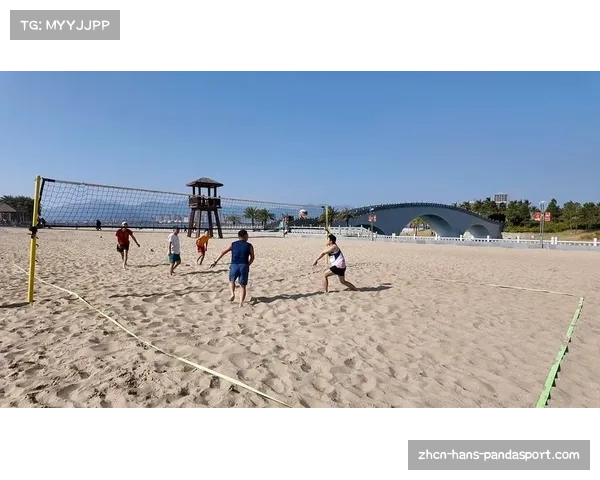 沙滩排球换场地规则解析及标准场地尺寸介绍